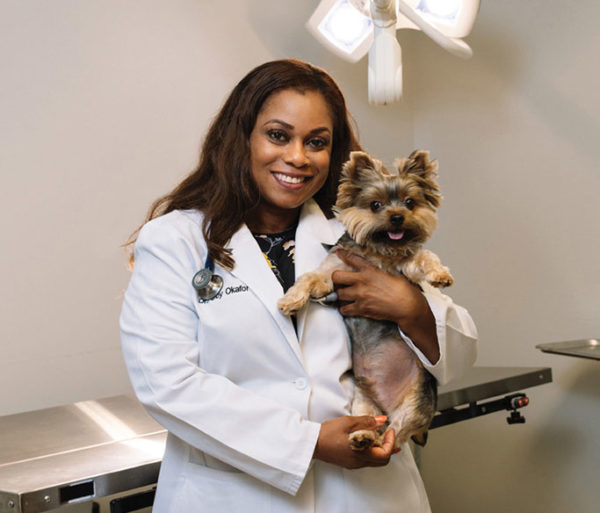 Lili Veterinary Hospital San Antonio Woman Magazine