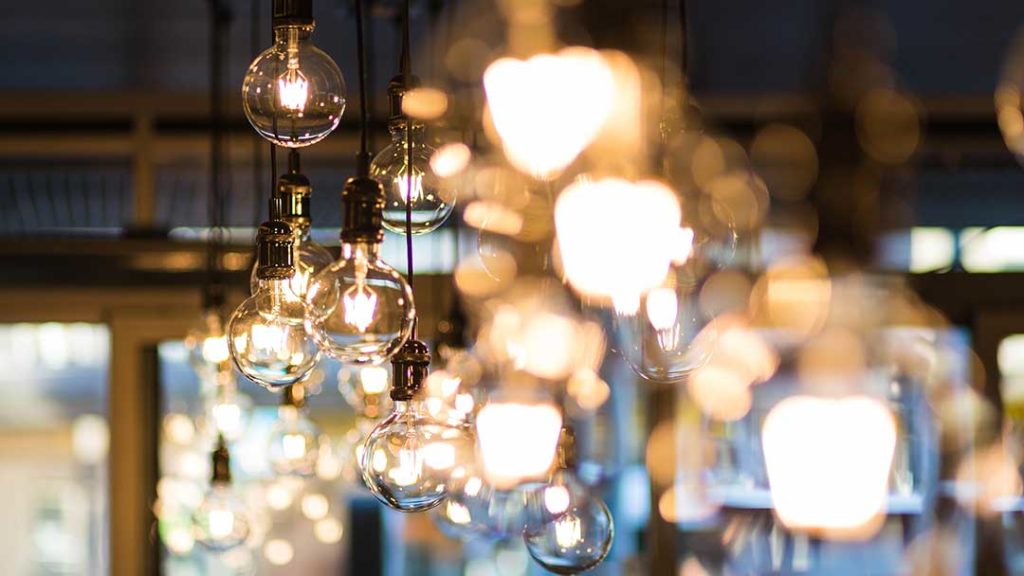 clear modern light bulbs hanging in shop