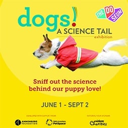 Dogs! A Science Tail
