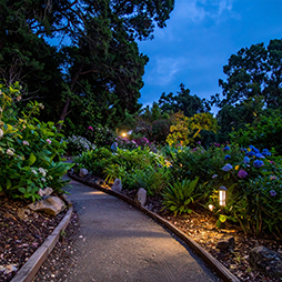 Hiking at night in gardens