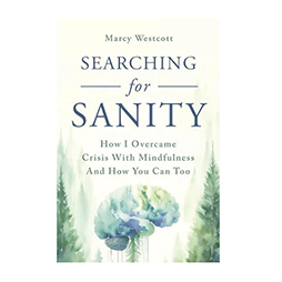 Searching for Sanity Book Cover Design